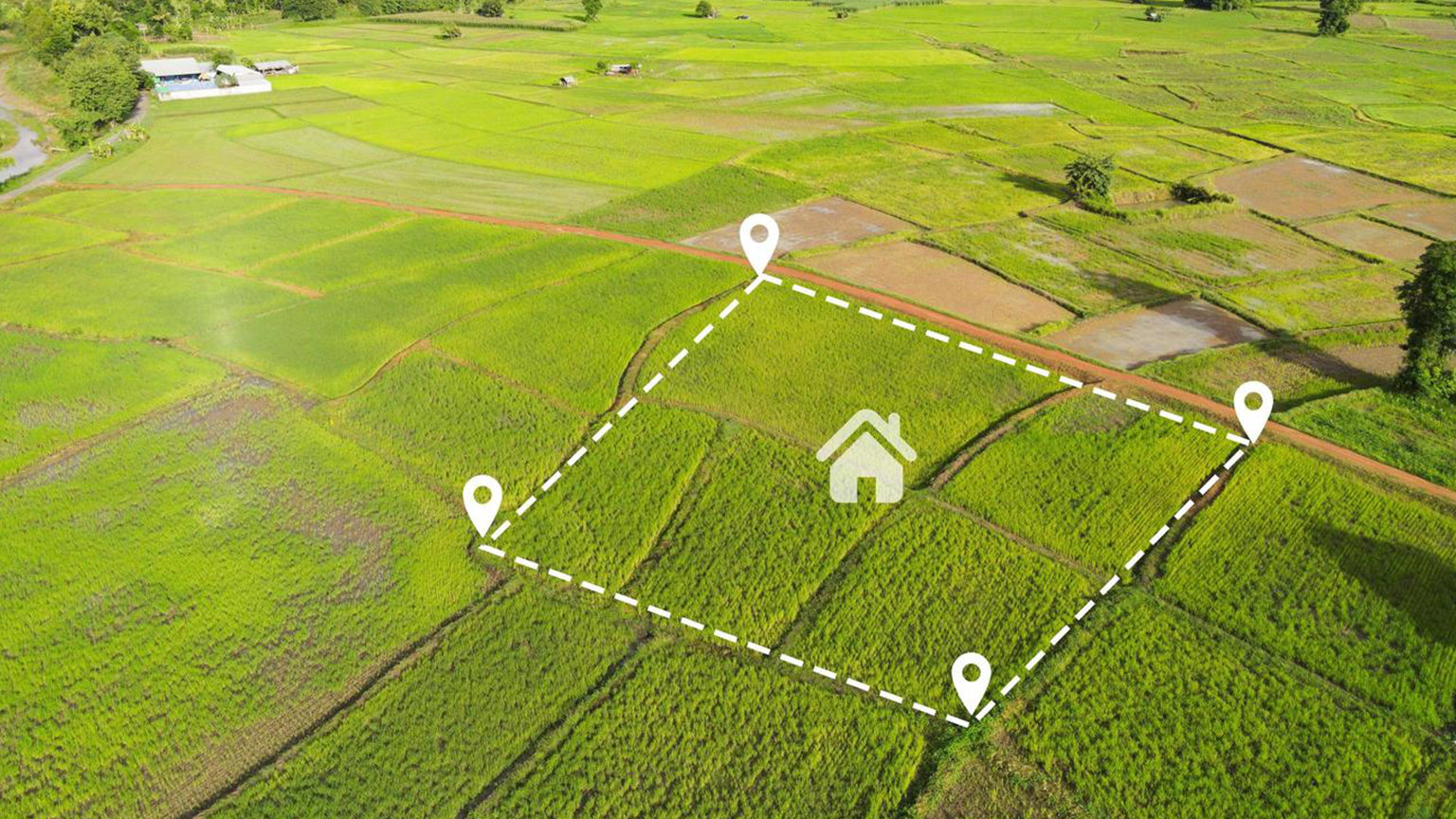 Plots and Land